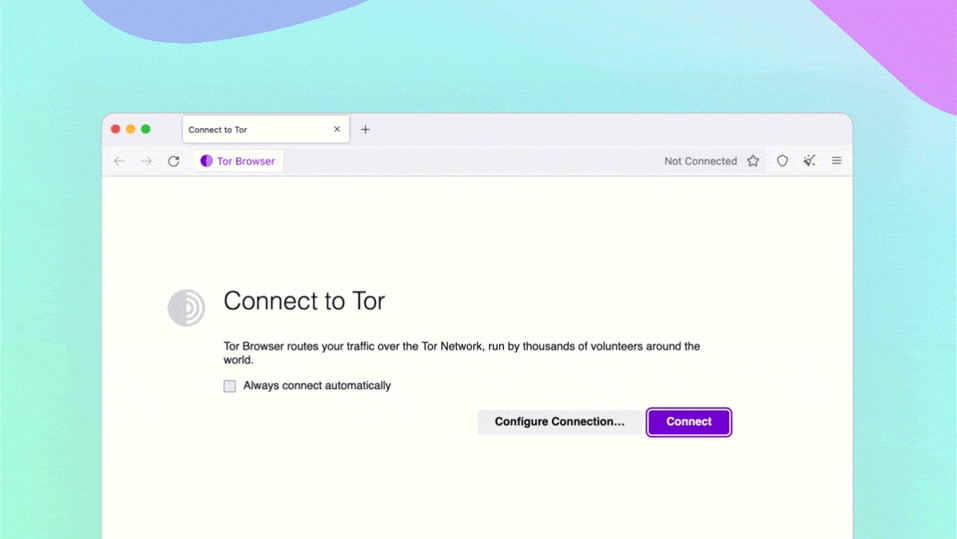 Navegador Tor: atualização permite contornar censura automaticamente e evitar bloqueios