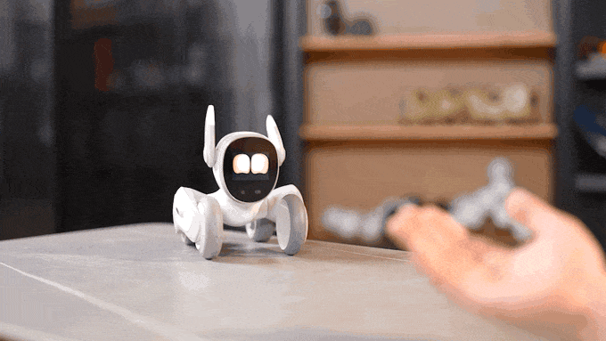 Loona - domestic robot